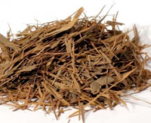Aubier Lapacho