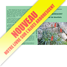 Livre L'aloès arborescent, un trésor de bienfaits