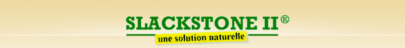 Infomations Slackstone